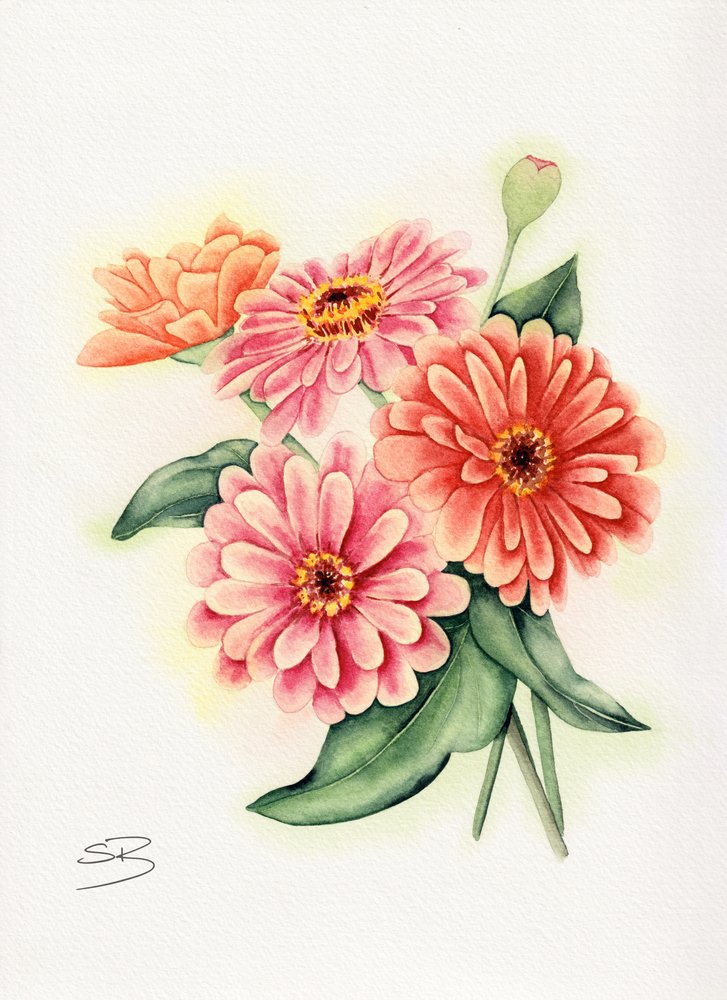 Lebendiger Zinnienstrauß von Salome