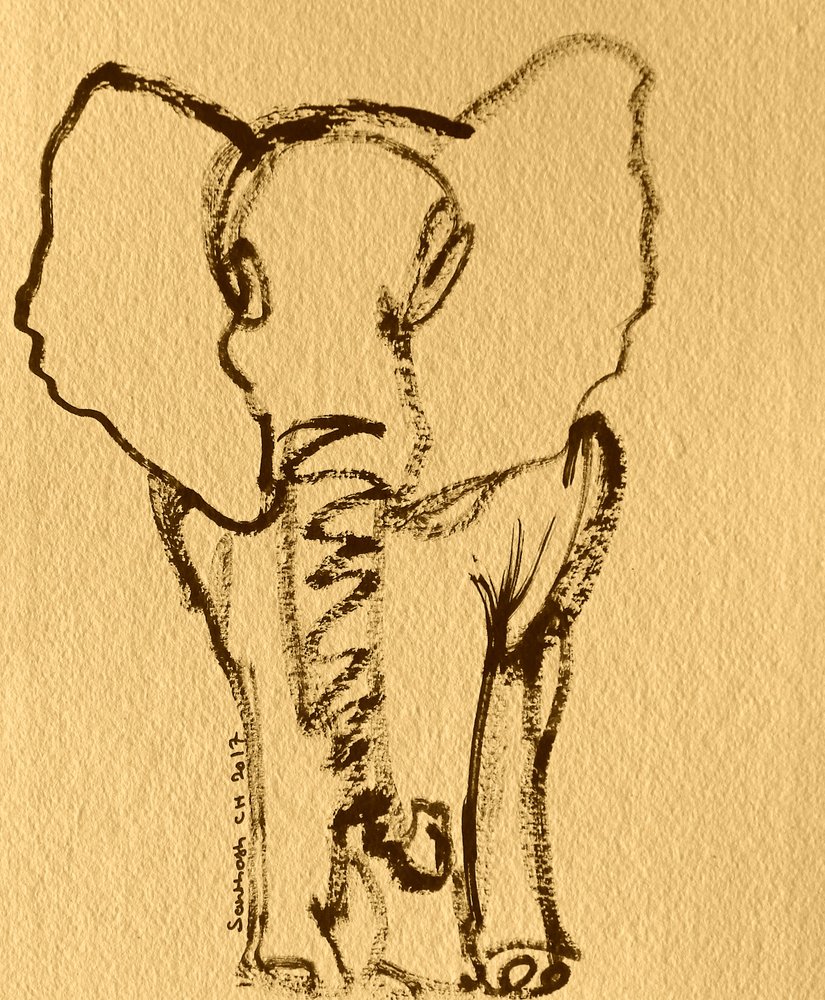 Baby-Elefanten-Skizze von Santhosh ch