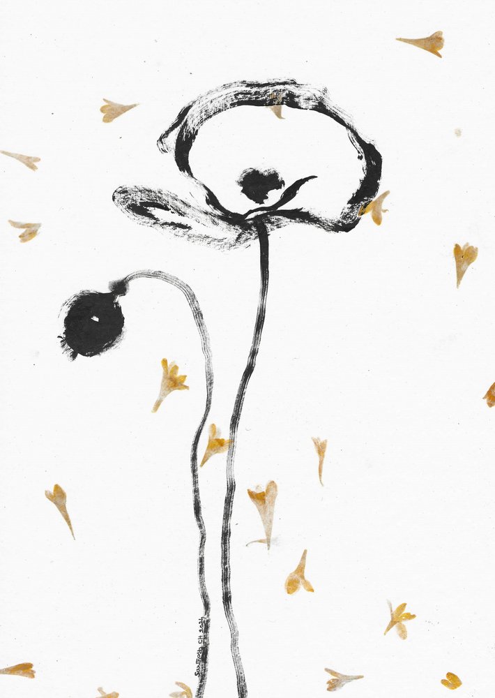 Elegante Schwarze Mohnblumen von Santhosh ch