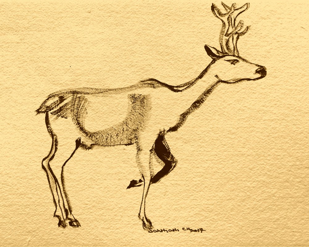 Eleganter Waldhirsch von Santhosh ch