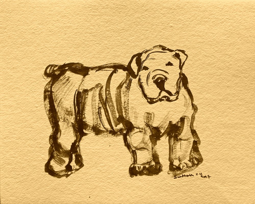 Ausdrucksstarke Bulldogge Skizze von Santhosh ch