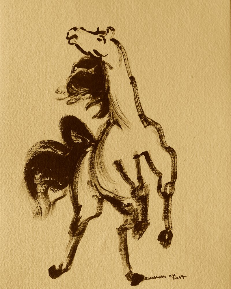 Pferd 24 von Santhosh ch