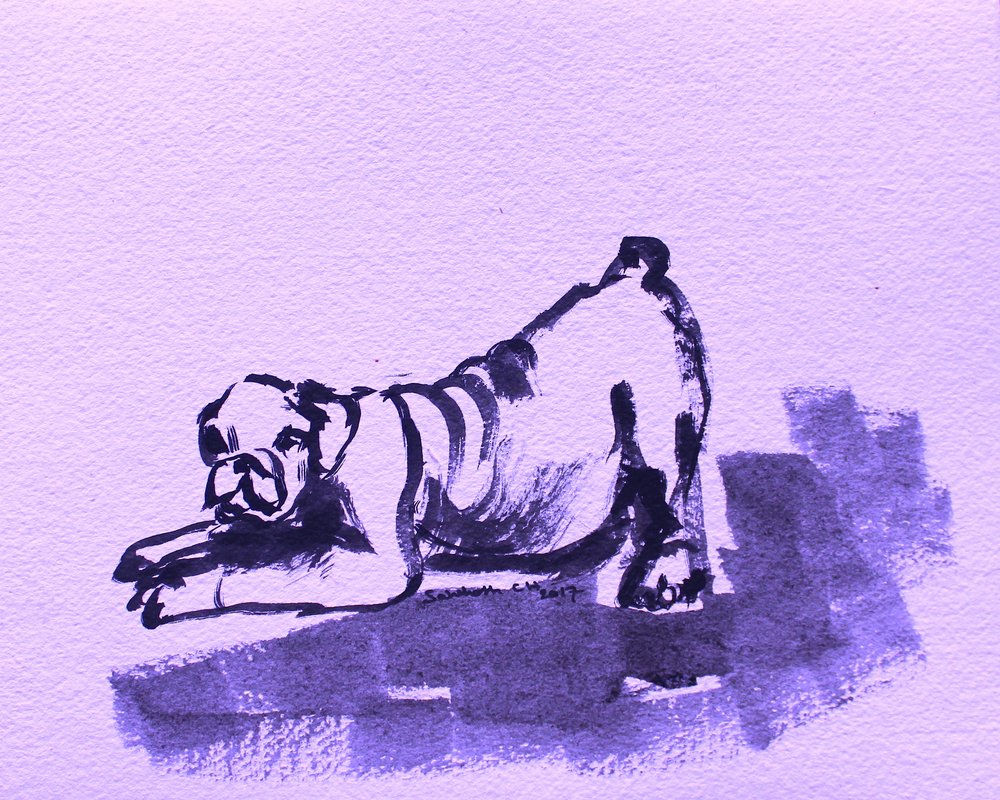 Verspielte Bulldogge Dehnung von Santhosh ch