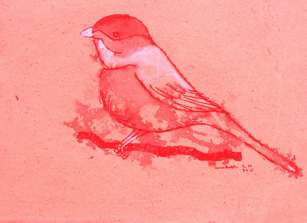 Roter Vogel auf Ast von Santhosh ch