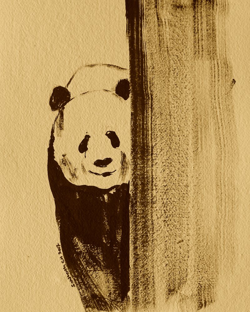 Schüchterner Panda schaut hervor von Santhosh ch