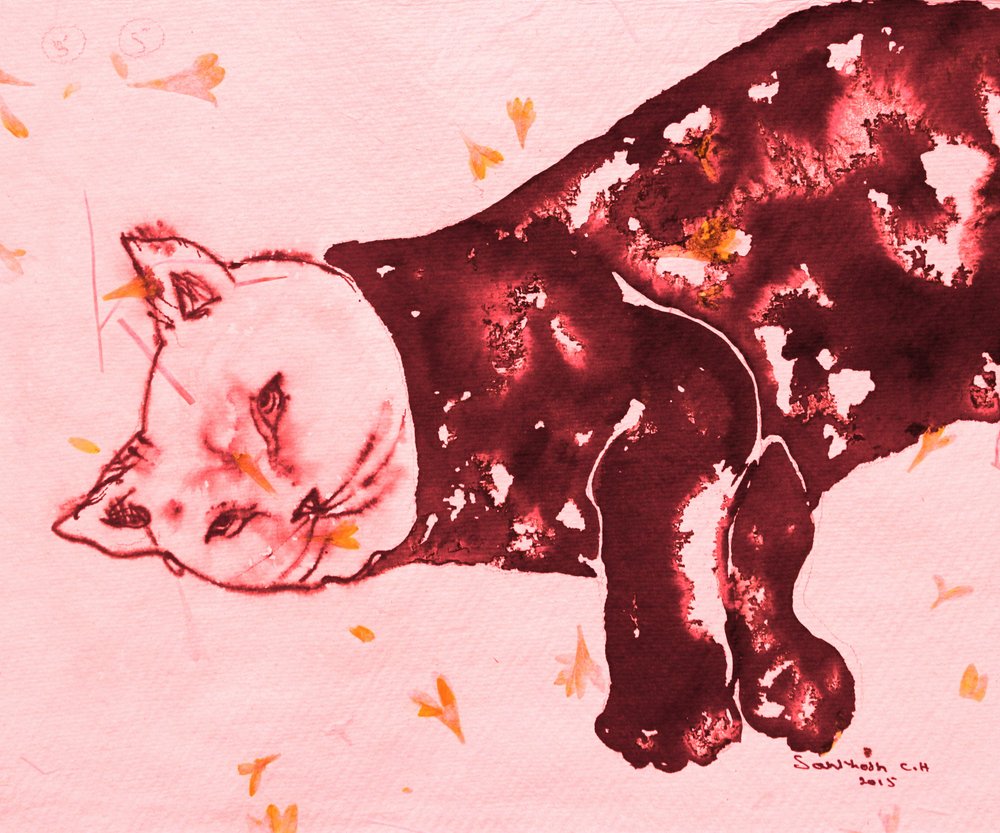 Schlafende rote Katze von Santhosh ch