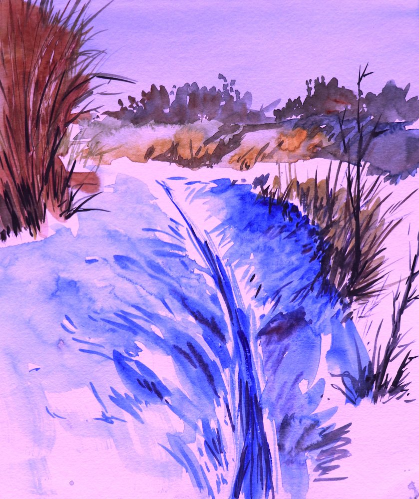 Verschneiter Winterbach von Santhosh ch