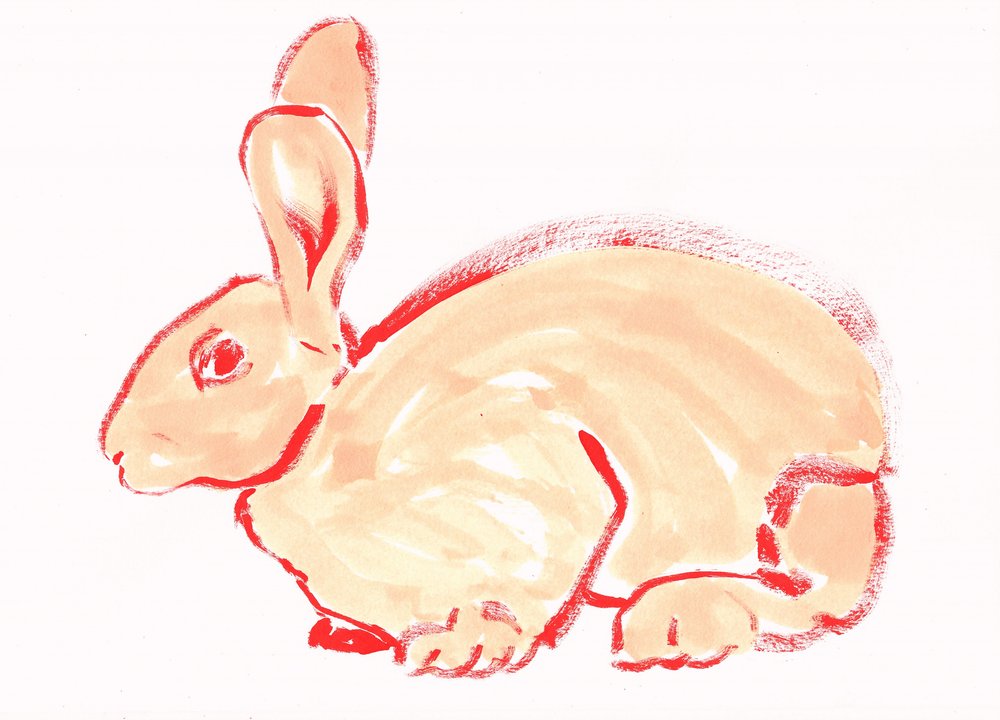 Süßer Oranger Hase von Santhosh ch