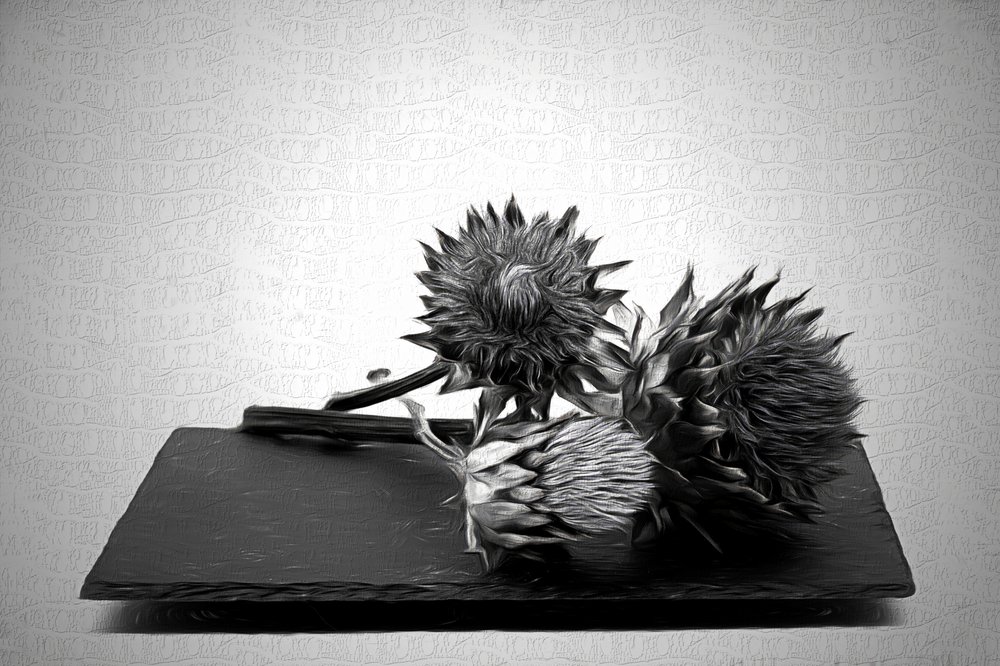 Monochromes Artischockenstillleben von Saskia Dingemans