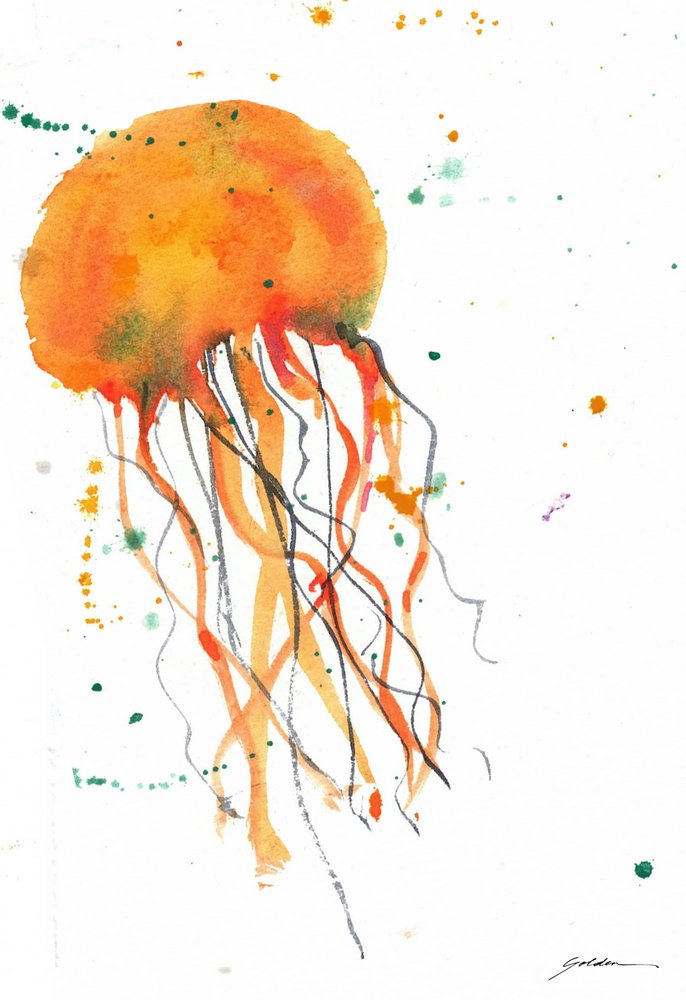 Orange Aquarellqualle von Sheila Golden