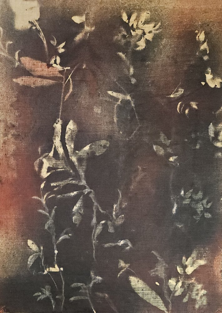 Dunkle Botanische Formen von Stefano Mazzolini