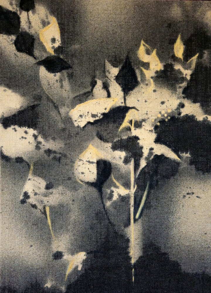 Dunkle Botanische Formen von Stefano Mazzolini
