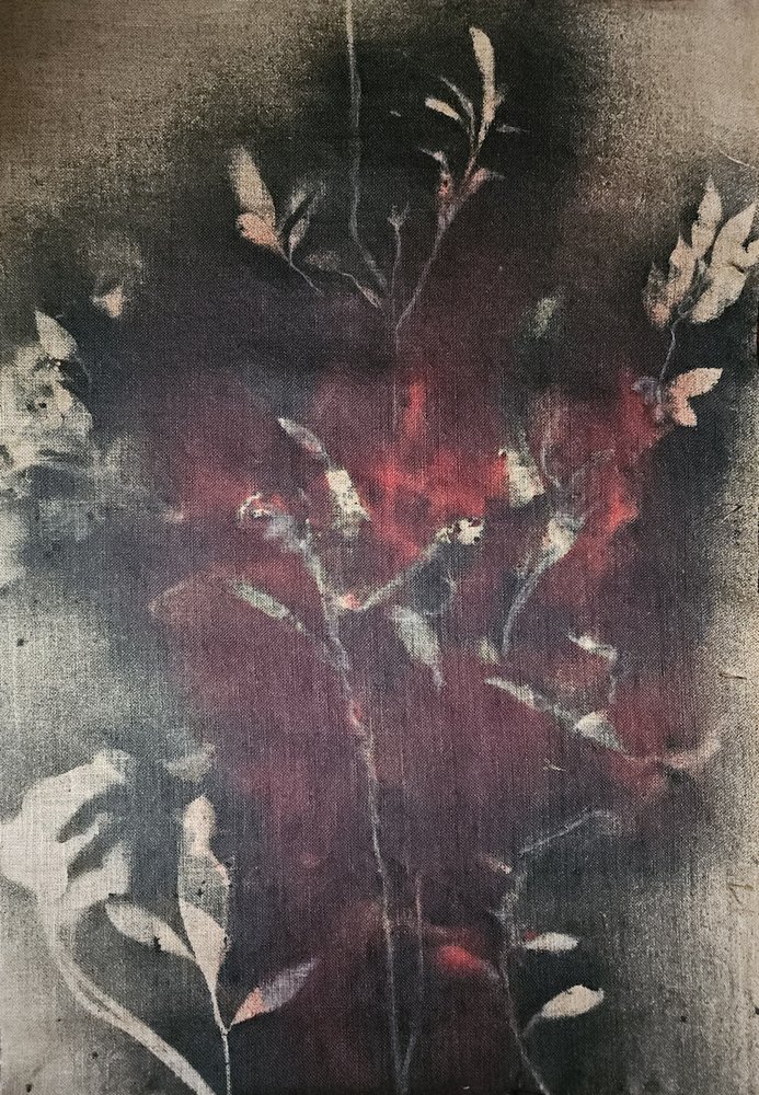 Dunkler Botanischer Glanz von Stefano Mazzolini