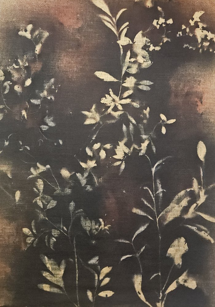 Dunkle Botanische Silhouetten von Stefano Mazzolini
