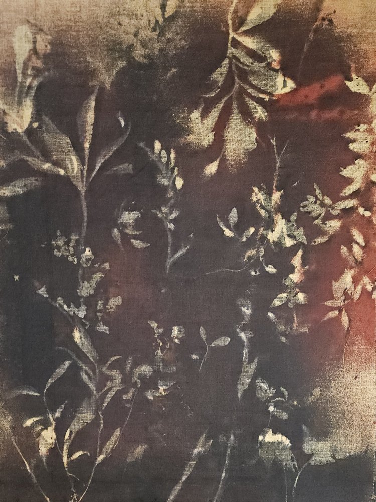 Dunkle Botanische Studie von Stefano Mazzolini