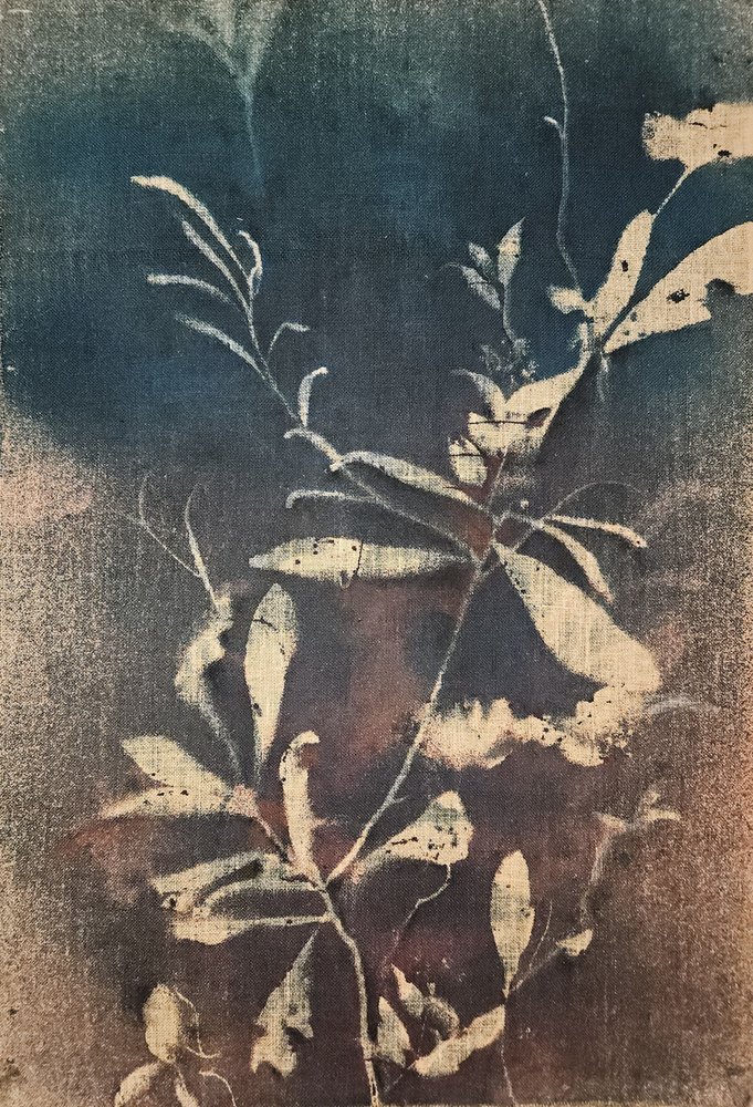 Vintage Blaue Botanicals von Stefano Mazzolini