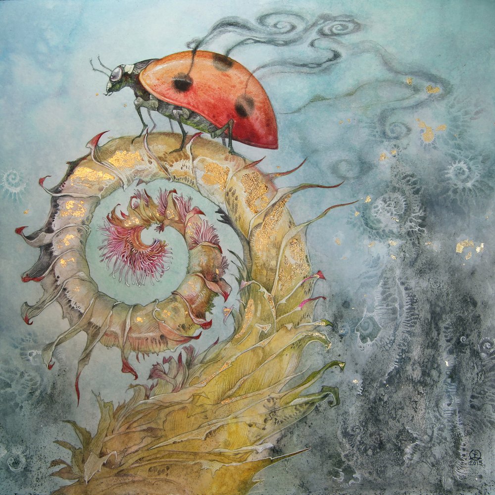 Marienkäfers goldene Spirale von Stephanie Law
