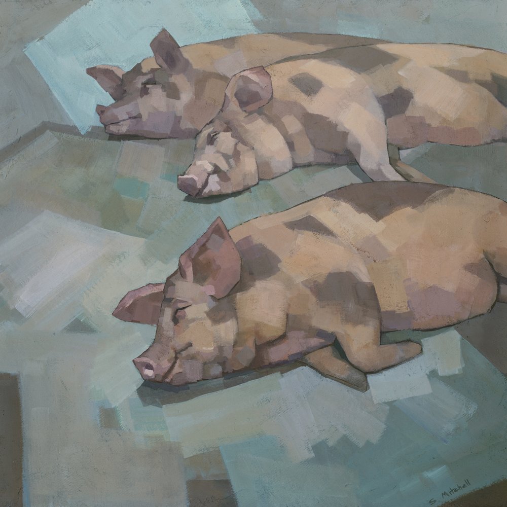 Drei schlafende Schweine von Steve Mitchell
