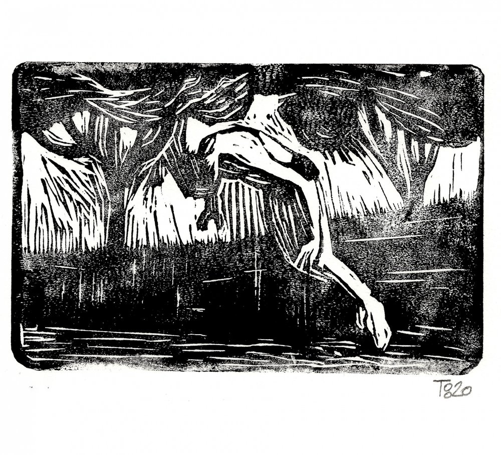 Fallen in den Wald von Tore Bahnson