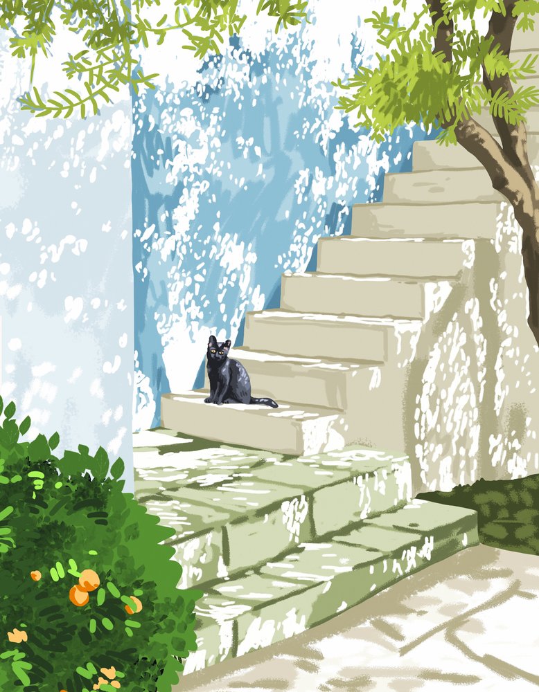 Schwarze Katze Sonnige Stufen von Uma Gokhale