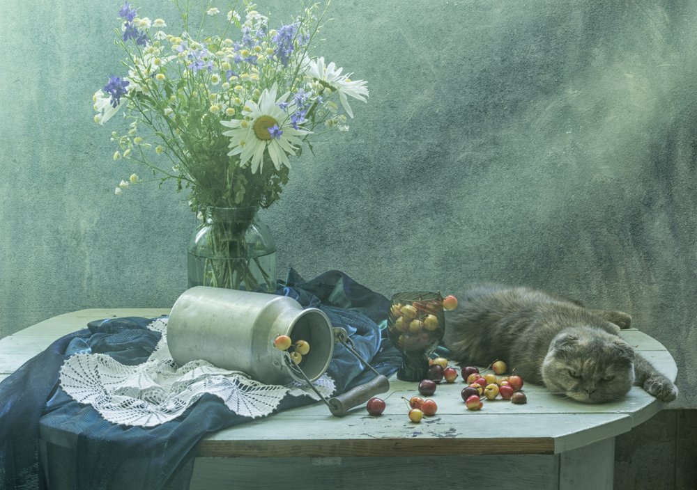 Schlafende Katze und Kirschen von UstinaGreen