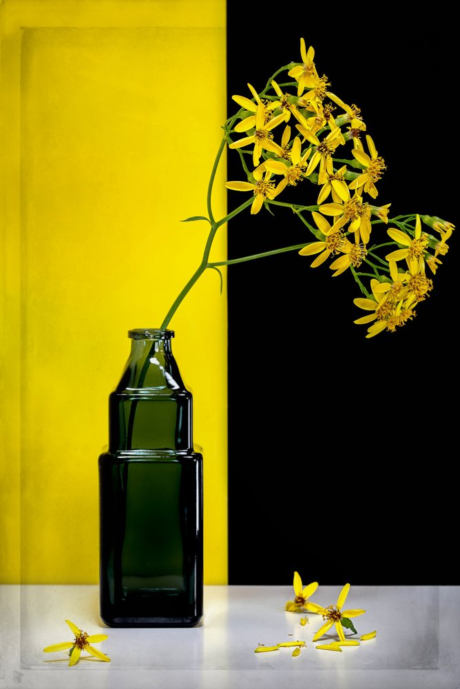 Gelbe Blumen moderner Kontrast von Vadim Kulinsky