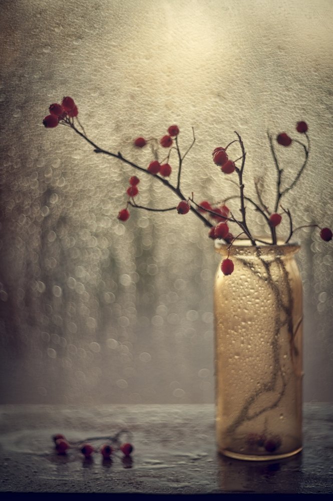 Beeren am regnerischen Fenster von Valeriya Tikhonova