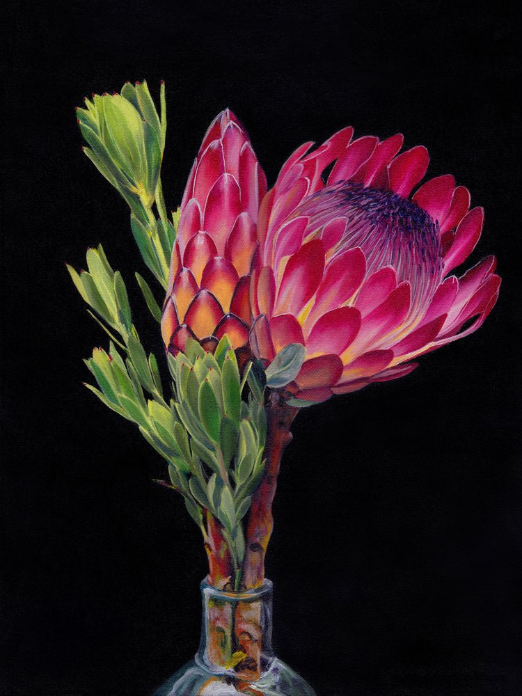 Lebendige Protea-Blüten von Viccy Wanliss