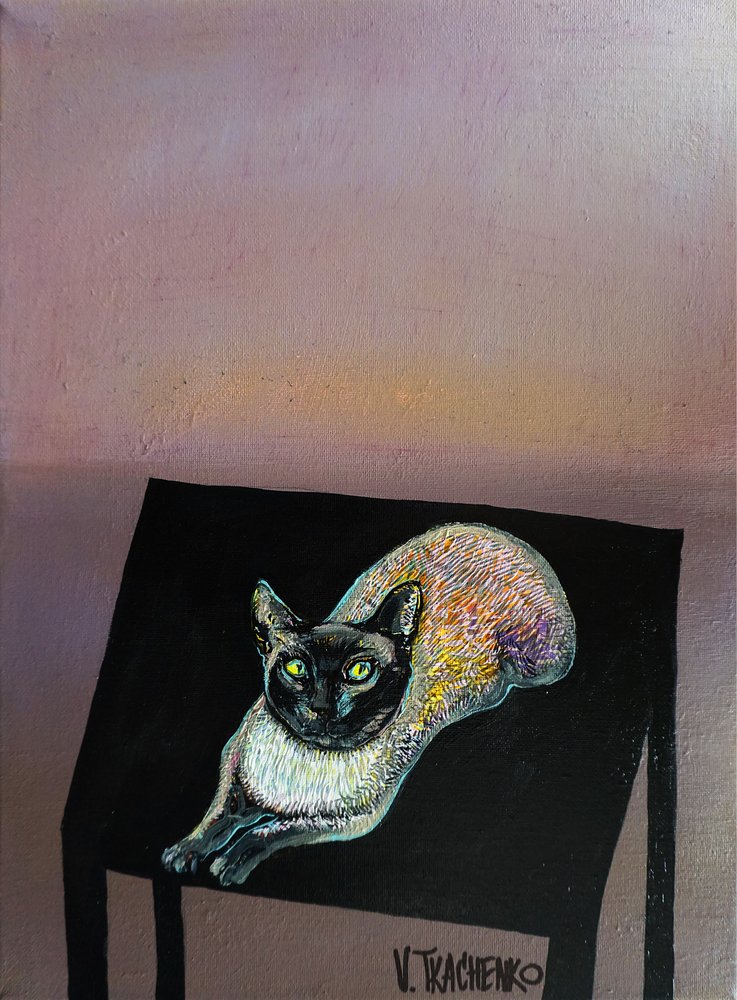 Siamkatze beim Strecken von Victor Tkachenko