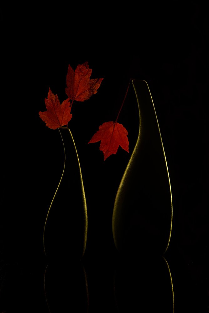 Leuchtende Herbstvasen von Wendy Xu