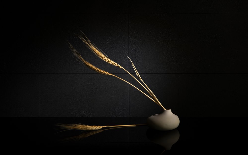 Goldenes Weizen Stillleben von Wendy Xu