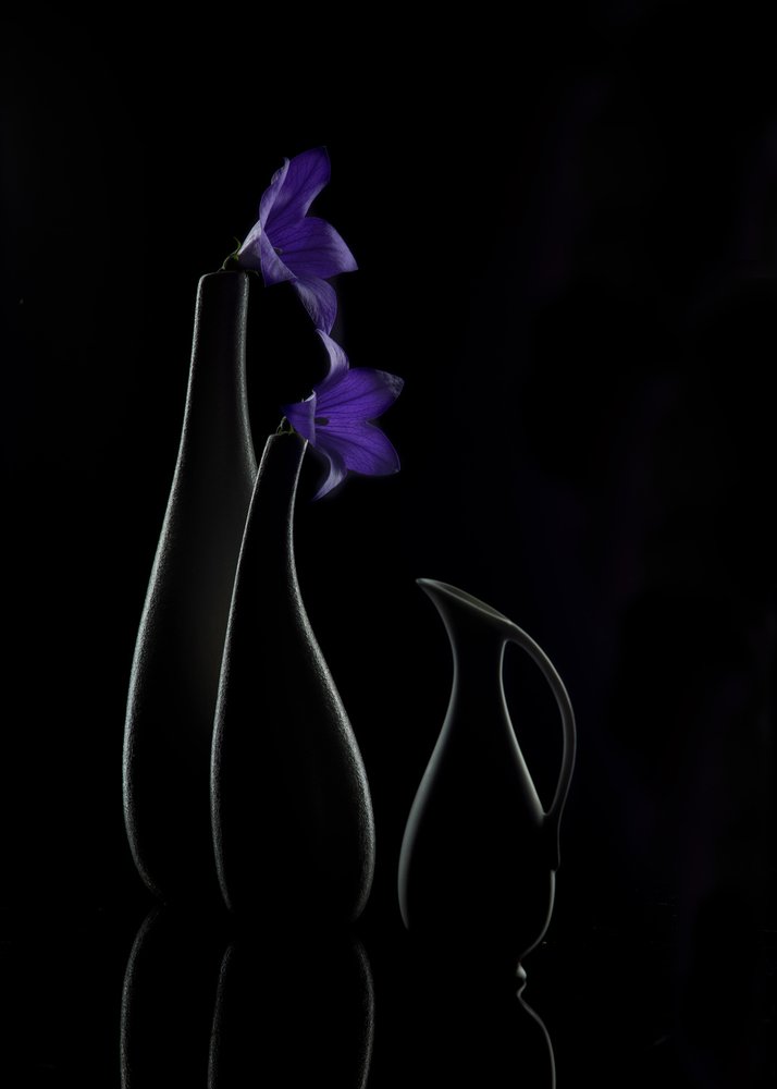 Lila Blüten Vasen von Wendy Xu