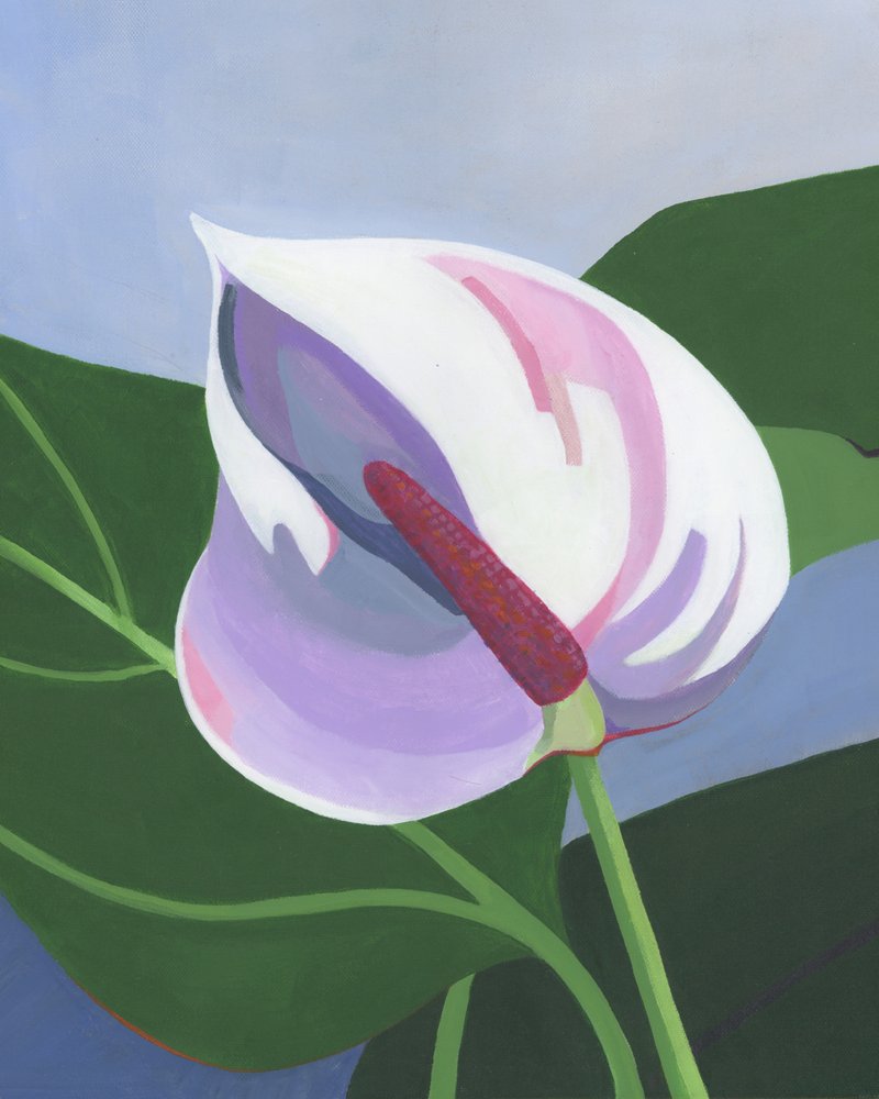 Elegantes Weißes Anthurium von Yvonne Gustafsson