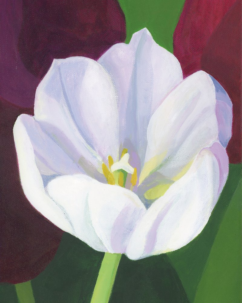 Elegante Weiße Tulpe von Yvonne Gustafsson