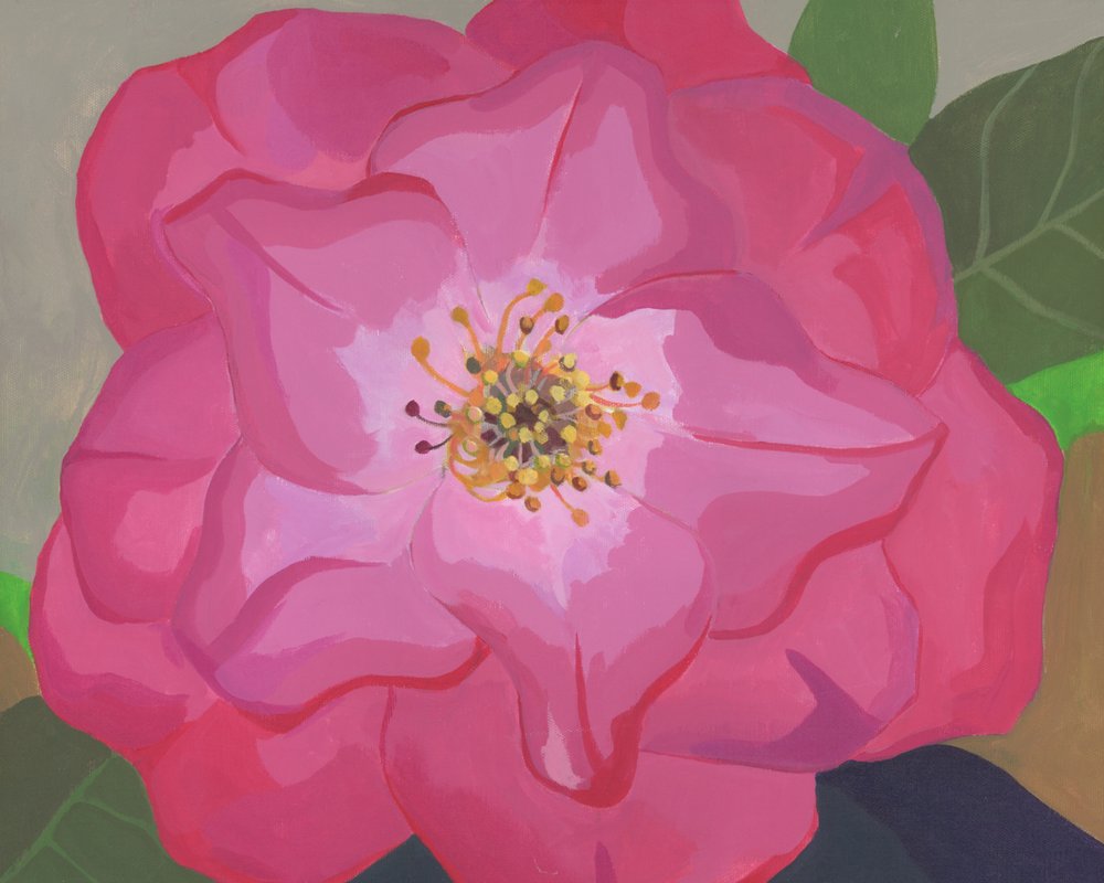 Lebendige Rosa Rose von Yvonne Gustafsson