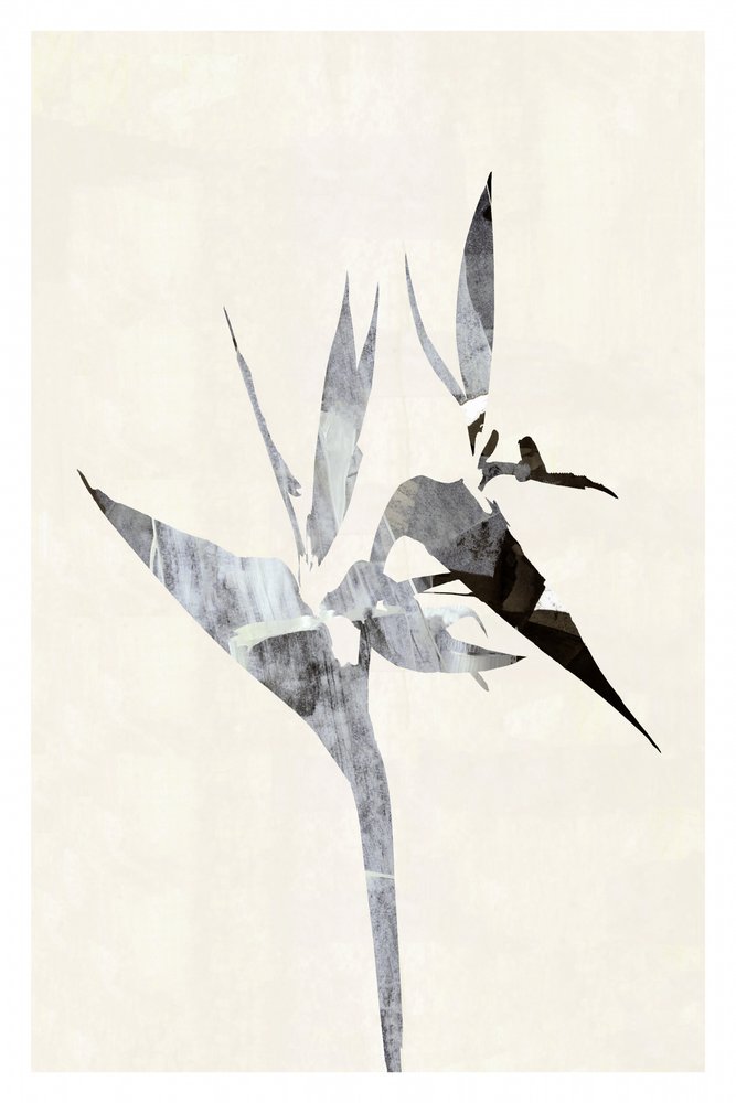 Abstrakter Paradiesvogel von cartissi