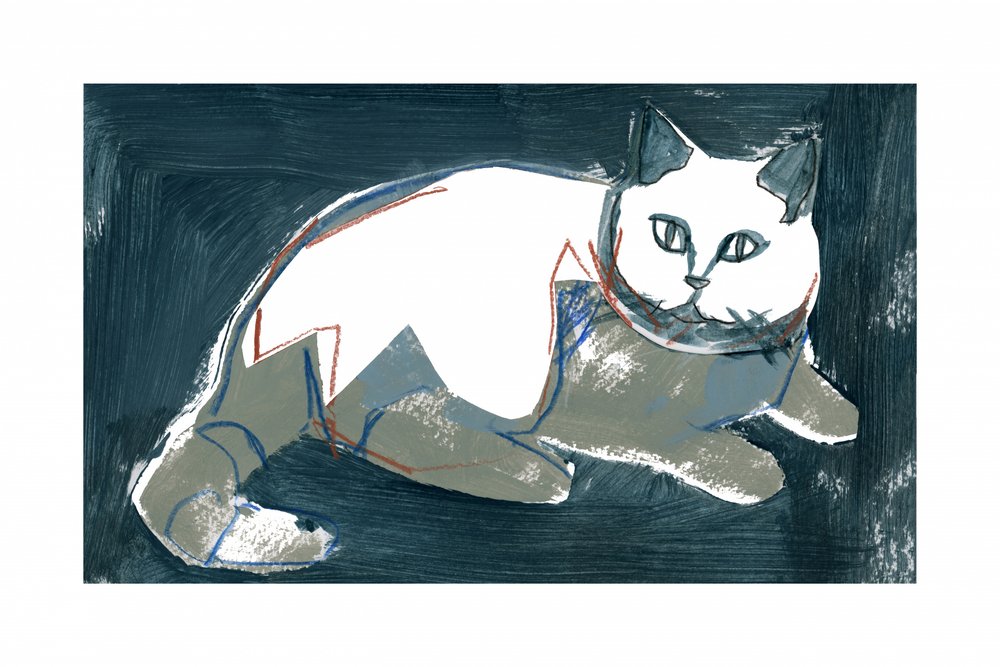 Künstlerische weiße Katze von cartissi
