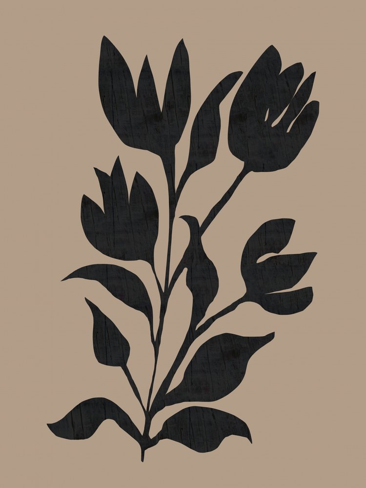 Schwarze botanische Silhouette von cartissi