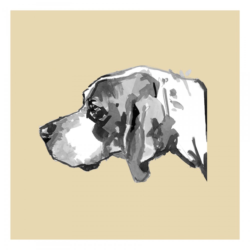 Elegantes Hundeprofil von cartissi
