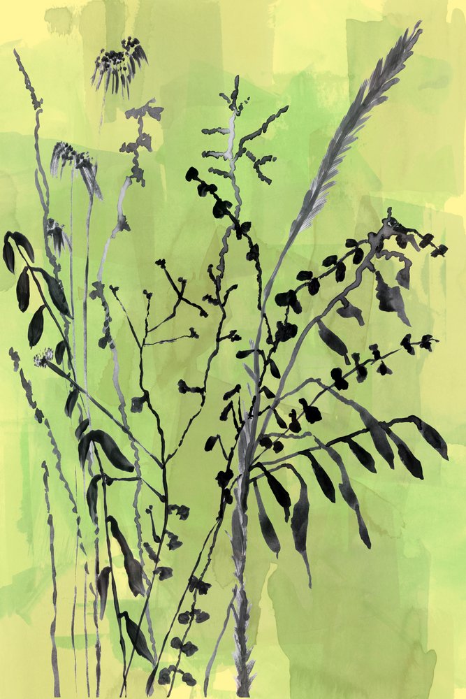 Grüne botanische Silhouetten von cartissi