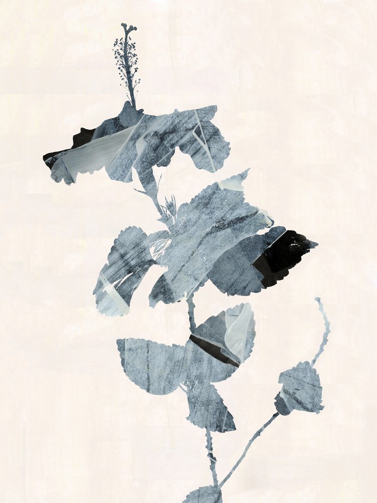 Hibiskusblüte Abstrakt von cartissi