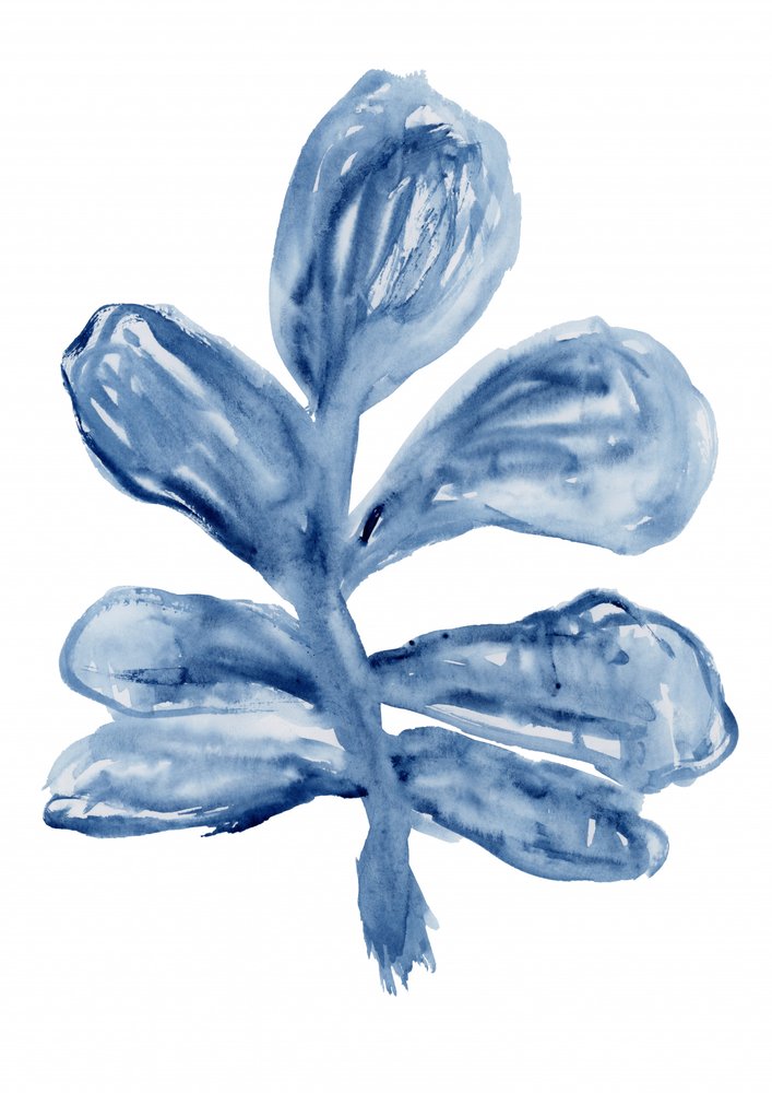 Indigo Aquarell Botanik von cartissi