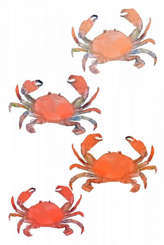 Meeresfrüchte Krabben Aquarell von cartissi