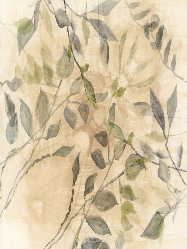 Sanfte botanische Blätter von cartissi