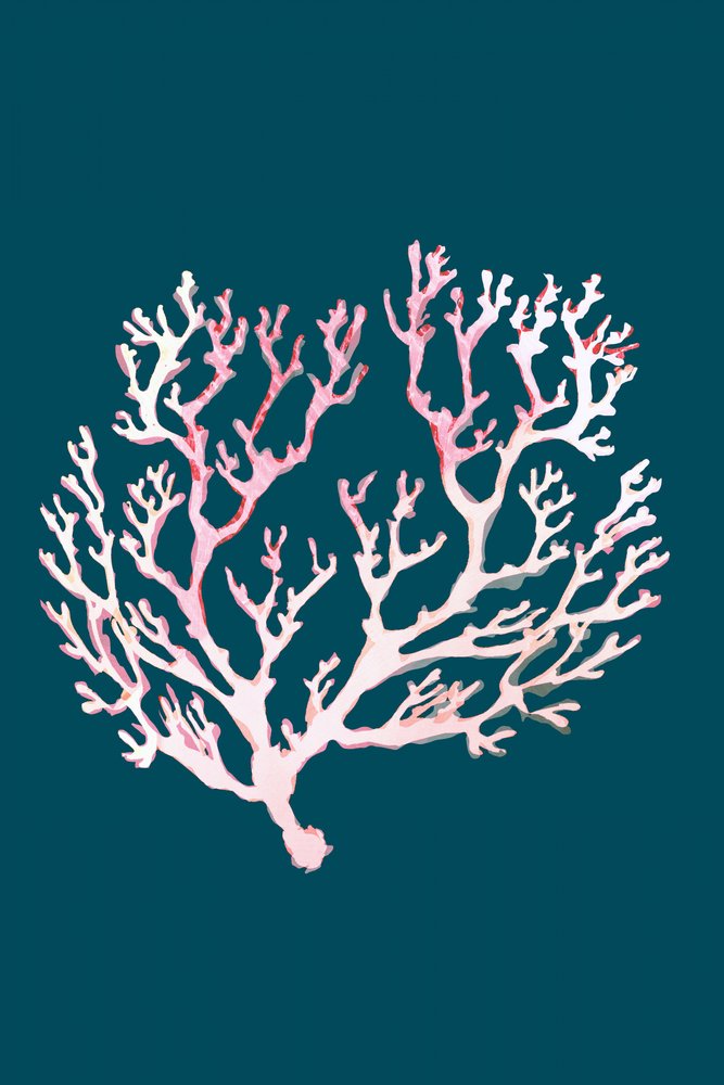 Weiche Rosa Koralle von cartissi