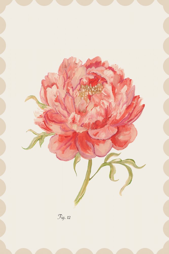 Vintage Rosa Pfingstrose von cartissi