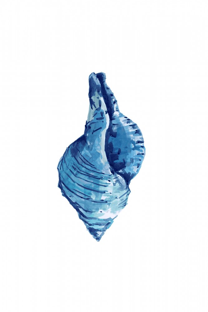 Aquarell Blaues Muschel von cartissi
