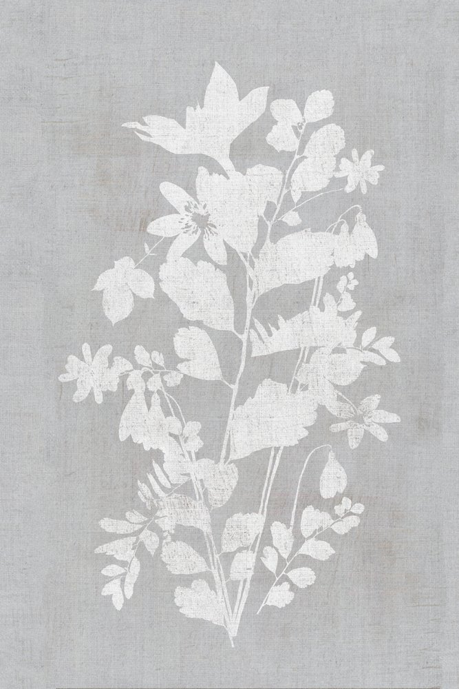 Weiße Blumensilhouette von cartissi