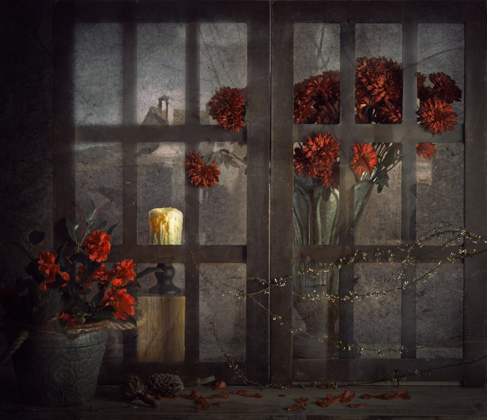 Dunkle Fensterblumen von chenyi wang
