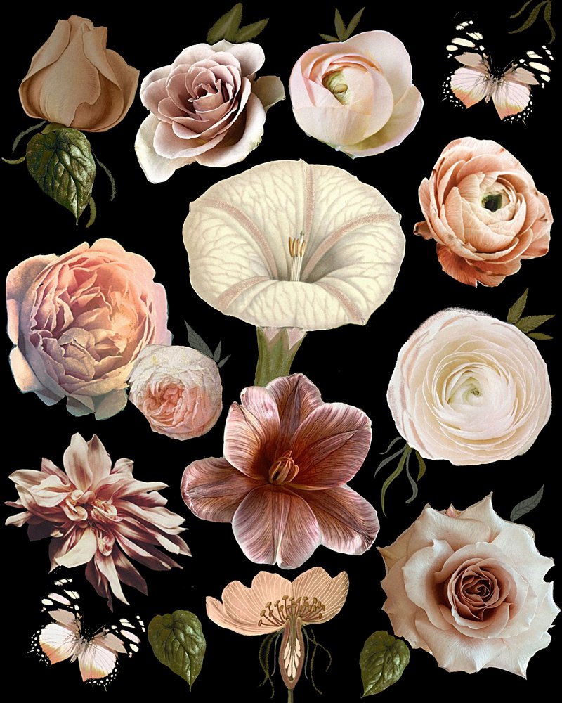 Dunkle botanische Blüten von giovanna nicolo
